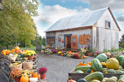 marche-clientele-entreprise-liee