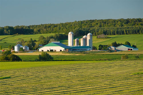 petites-moyennes-fermes-scf