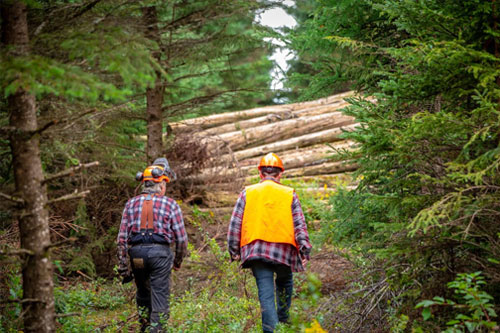 producteurs-forestiers-comptabilite-quebec