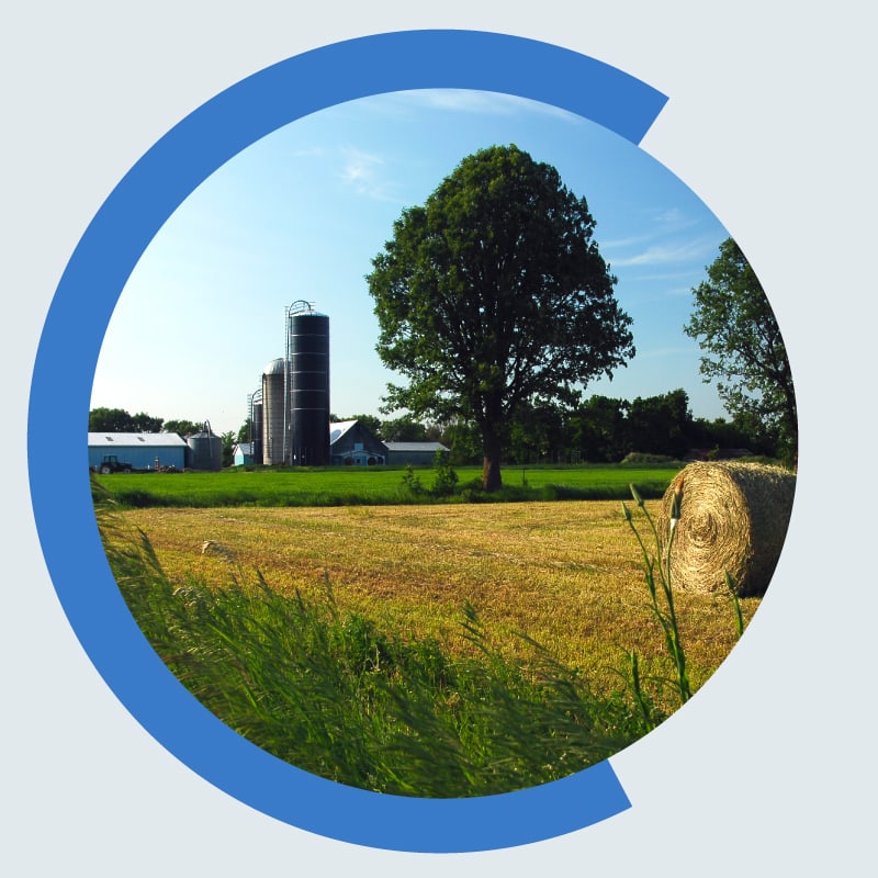 scf-conseils-juridiques